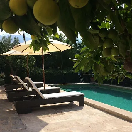 Holiday home Ses Llimoneres