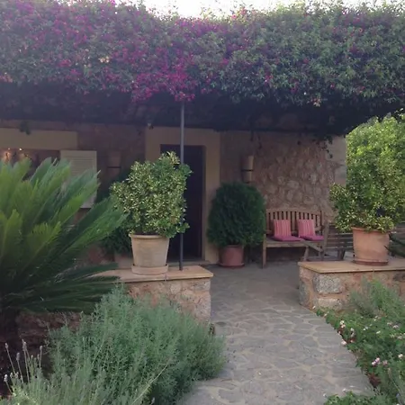 Ses Llimoneres *