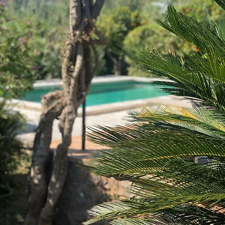 Ses Llimoneres Holiday home